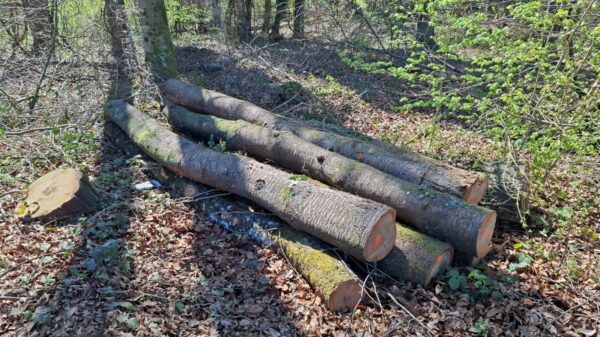 2025/4/22/500 – Bild 2