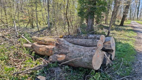 2025/4/23/510 – Bild 2