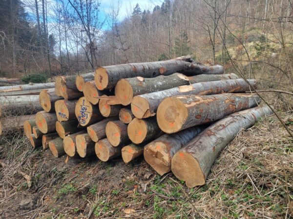 2025/8/304/503 – Bild 2