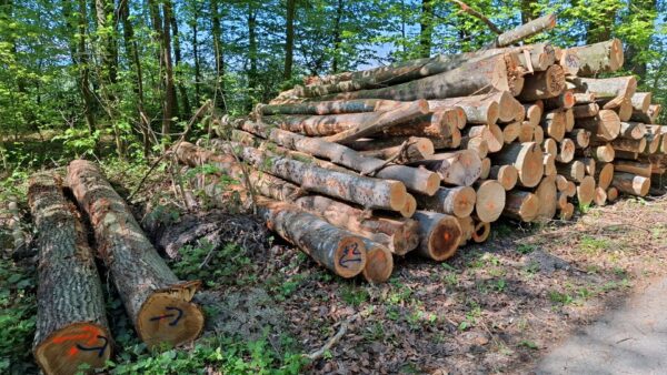 2025/4/20/504 – Bild 2