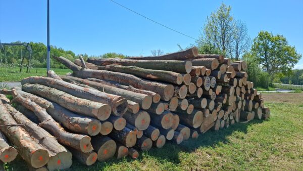 2025/4/20/508 – Bild 2