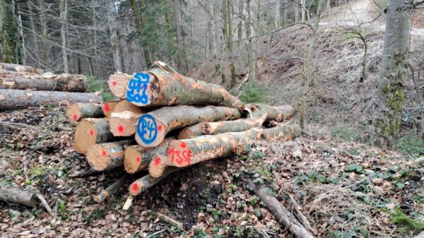 2025/59/411/500 – Bild 2